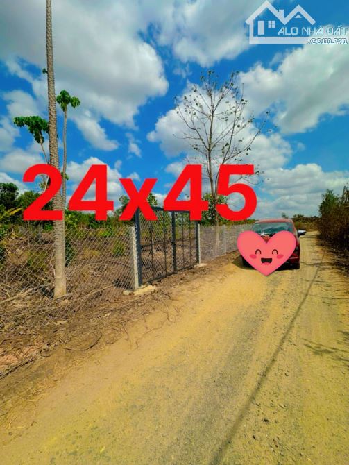 BÁN LÔ ĐẤT VƯỜN CỰC KỲ ĐẸP RẺ DT : 1011m2(24mx45m) CÁCH QUỐC LỘ 20 1.5KM CHỈ 580 TRIỆU - 1
