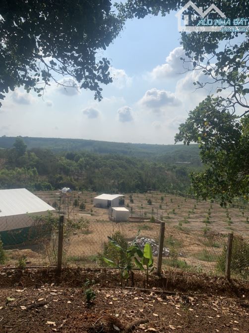 CẦN BÁN GẤP LÔ ĐẤT VIEW ĐẸP 12,052M2(1ha2) THÍCH HỢP LÀM NÔNG NGHIỆP GIÁ RẺ 1TY6 - 2