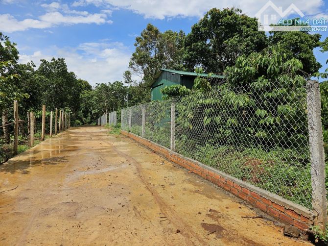 💥💥HẠ GIÁ MẠNH TỪ 550TR/1 SÀO CÒN 350TR/1 SÀO, 1.6HA ĐẤT XÃ EA KAO TP. BMT