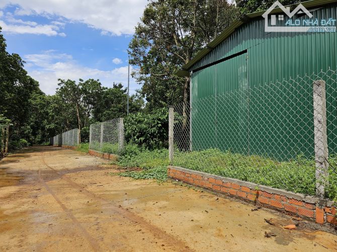 💥💥HẠ GIÁ MẠNH TỪ 550TR/1 SÀO CÒN 350TR/1 SÀO, 1.6HA ĐẤT XÃ EA KAO TP. BMT - 1