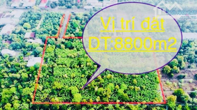 Bán 8800M2 Đất Vườn Hưng Định 11 Thuận An -Bình Dương. - 1