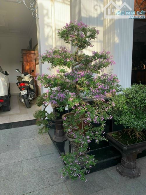 SIÊU HIẾM ! Biệt thự sân vườn  12*22m, full nội thất, giá chỉ còn 35 tỷ TL - 2