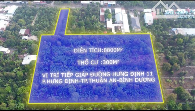 Bán 8800M2 Đất Vườn Hưng Định 11 Thuận An -Bình Dương. - 2