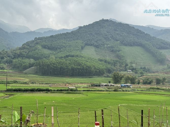 ✨Lô View Cánh Đồng Đẹp Như Này Không Mua Thì Anh Chị Mua Lô Nào ✨ - 3