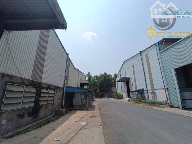 Cho thuê kho xưởng 10.000m² Hố Nai 3 Trảng Bom - 6