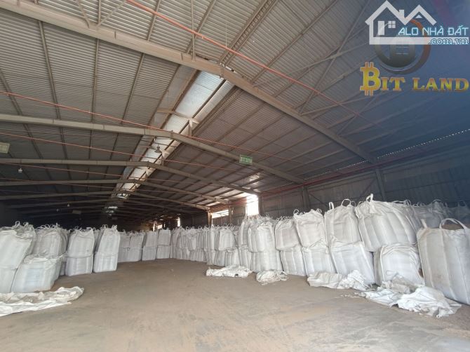 Cho thuê kho xưởng 10.000m² Hố Nai 3 Trảng Bom - 7