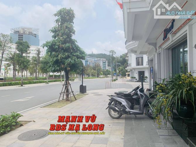 Bán nhà phố liền kề Bến Đoan, Hạ Long 90m2 view công viên full NT - 7