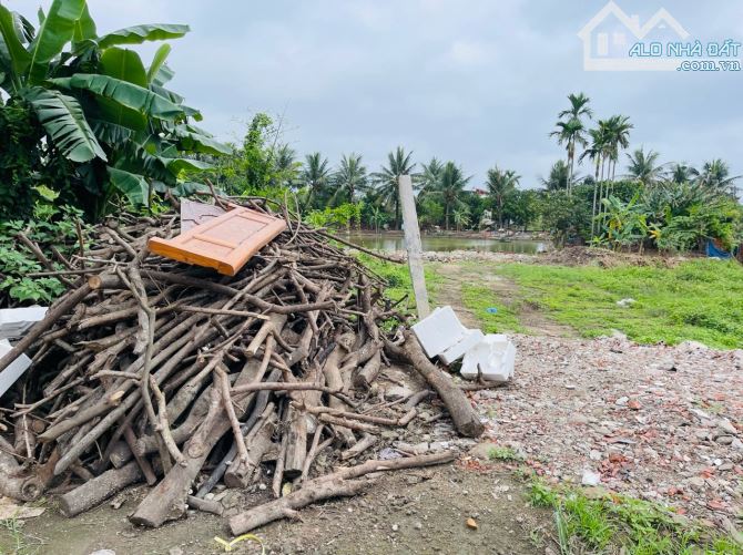 Bán đất TDP Đông Phong - Minh Đức - Đồ Sơn - Hải Phòng - 1