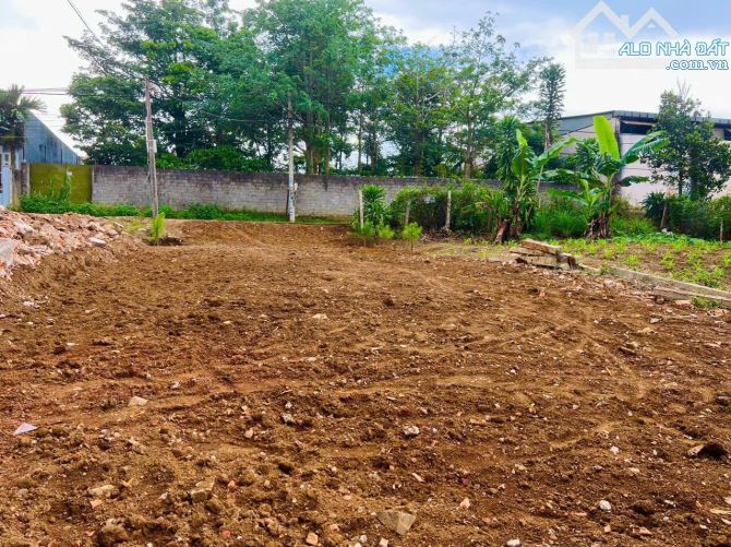 Bán đất mặt tiền đường trung tâm Lộc An, Bảo Lộc. Đất 450m2 thổ cư gần QL20. - 5