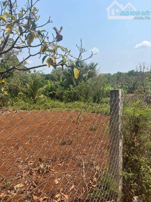 Bán Lô Đất Thôn 2 Xã Cư Bua Thành Phố Buôn Mê Thuột - 1