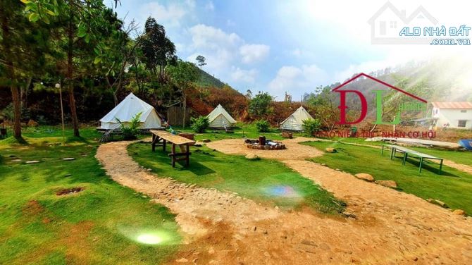 Bán khu camping sinh thái xã Lát Lạc Dương giáp suối rộng quanh đất cách Đà Lạt 19km - 1