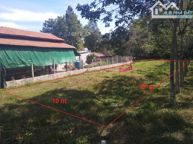 Bán đất mặt tiền đường Trung Lập, Củ Chi 10x67m thổ cư 60m2 đã đăng ký lên full thổ - 1