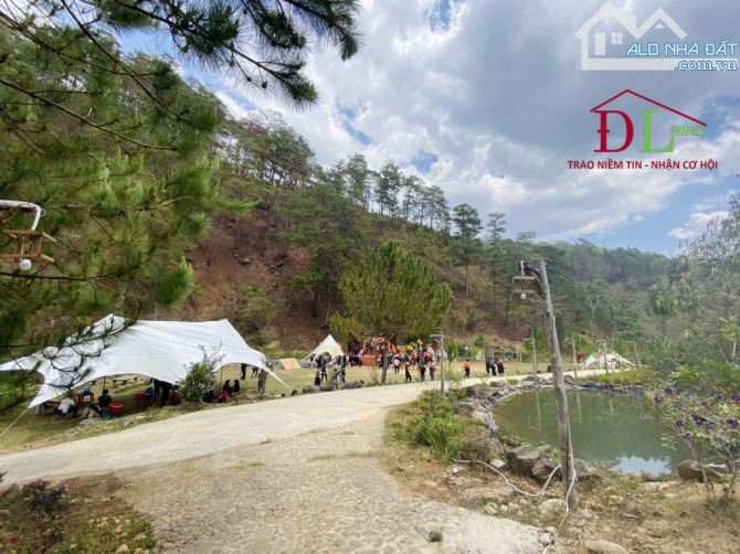 Bán khu camping sinh thái xã Lát Lạc Dương giáp suối rộng quanh đất cách Đà Lạt 19km - 3