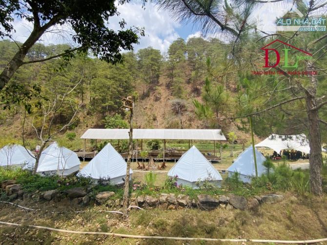 Bán khu camping sinh thái xã Lát Lạc Dương giáp suối rộng quanh đất cách Đà Lạt 19km - 5