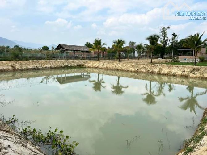Nhà vườn Diên Đồng có sẵn vườn cây, ao cá cần tìm chủ mới - 7