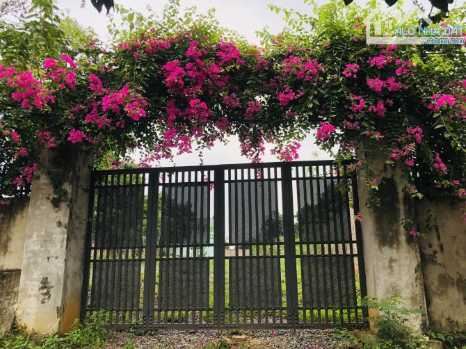 BÁN GẤP LÔ ĐẤT SẴN KHUÔN VIÊN CÓ DT 919m2 ( 100m2 ONT) CHỈ CÁCH ĐƯỜNG ĐÔNG DƯƠNG 100m - 8