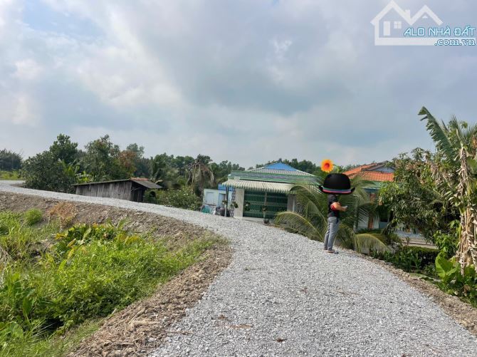 800 thổ và ( 1075m2 đất vườn) view sông ngay trung tâm Thạnh hoà bến lức Long An 4,2 tỷ