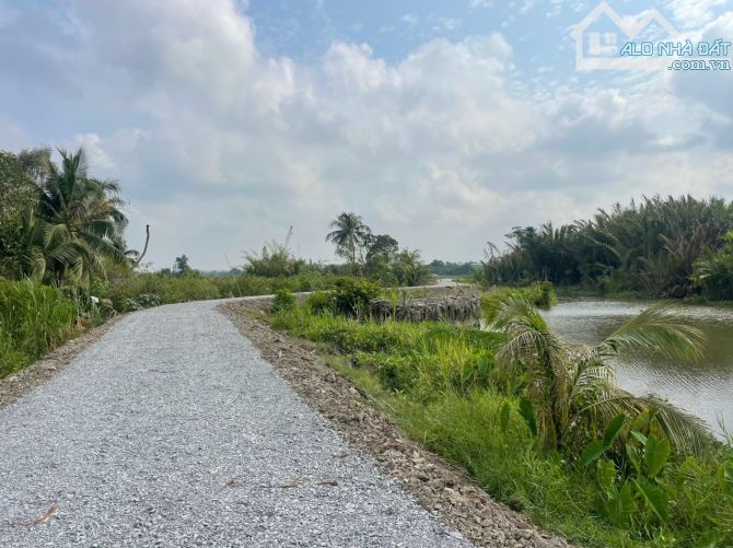 800 thổ và ( 1075m2 đất vườn) view sông ngay trung tâm Thạnh hoà bến lức Long An 4,2 tỷ - 17