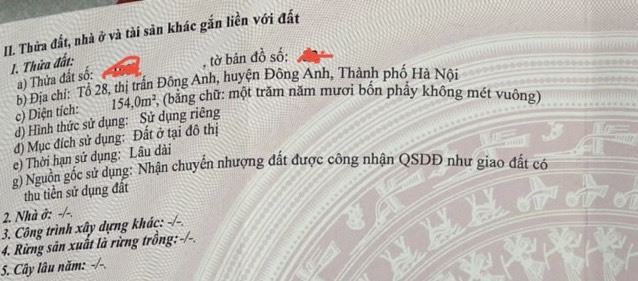 ĐƯỜNG THÔNG 3 OTO TRÁNH- ĐẤT VUÔNG ĐẸP PHÙ HỢP XÂY BIỆT THỰ-15M RA TRỤC KINH DOANH - 4