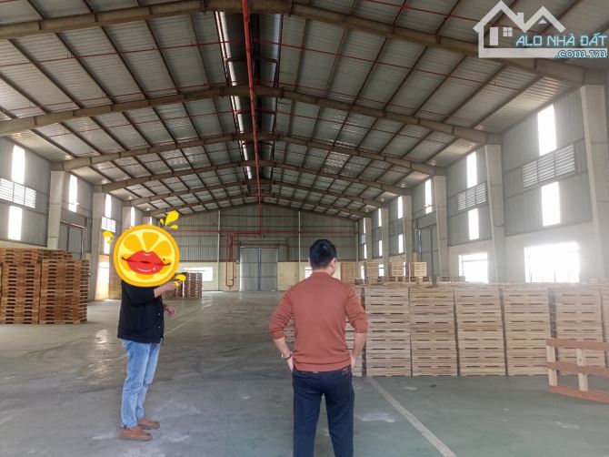 Cho thuê kho 3500m2 PCCC đầy đủ tại Hồng Bàng Hải Phòng - 1