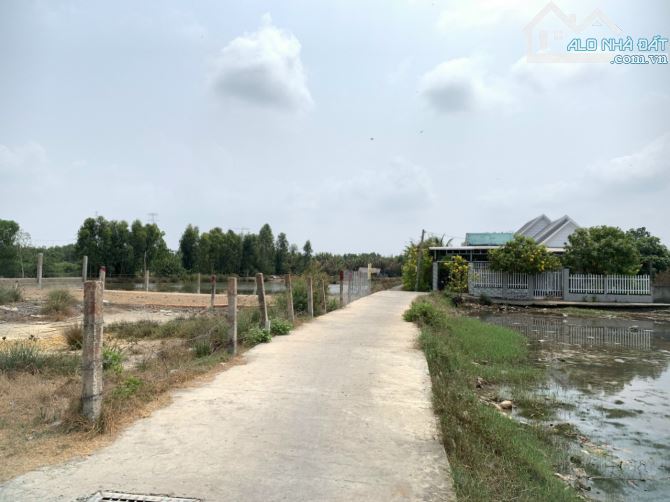 Cần bán đất xã Bình Khánh cần giờ TP HCM DT ngang 5x23=128m.thổ cư đường xe hơi tới đất. - 1