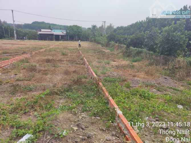 Đất thổ cư mặt tiền đường qh 32m trung tâm Hưng Lộc Thống Nhất Đồng Nai - 5