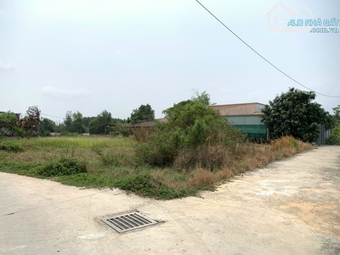 Cần bán đất xã Bình Khánh cần giờ TP HCM DT ngang 5x23=128m.thổ cư đường xe hơi tới đất. - 2