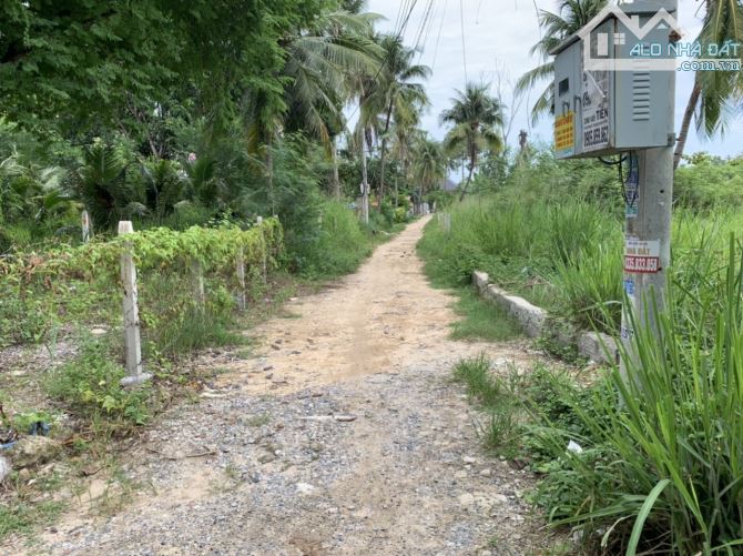 Bán đất View Sông Cái, Ngọc Hiệp, Nha Trang, Khánh Hòa. - 3