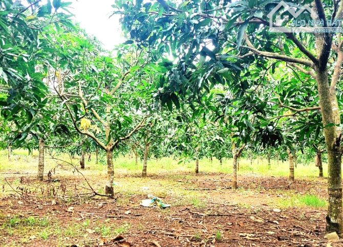 Bán lô đất 500m2 thổ cư, đường bê tông, view hồ Trị An.