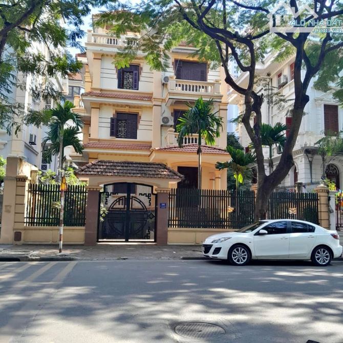 Phân lô Hoàng Cầu, Trần Quang Diệu, ô tô tránh, vài bước ra phố, 101m2, MT 5m giá 20 tỷ