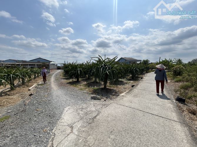 ✅ Bán 1500m2 đất LÚA ( 25 x 60 ), 2 mặt tiền - 650 triệu / 1000m2 - đường oto 7 chổ .