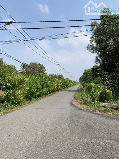 Ngộp! Bán lô đất đường mt đường nhựa 762, 1 sẹcTỉnh Lộ 7, 167m, full thổ, An Nhơn Tây - 1