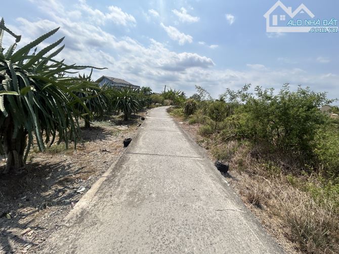 ✅ Bán 1500m2 đất LÚA ( 25 x 60 ), 2 mặt tiền - 650 triệu / 1000m2 - đường oto 7 chổ . - 1