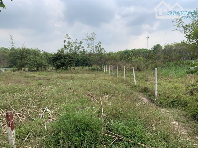 Ngộp! Bán lô đất đường mt đường nhựa 762, 1 sẹcTỉnh Lộ 7, 167m, full thổ, An Nhơn Tây - 2