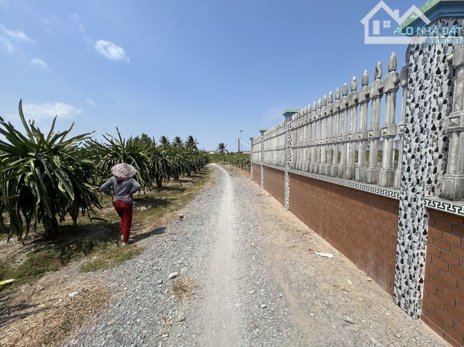 ✅ Bán 1500m2 đất LÚA ( 25 x 60 ), 2 mặt tiền - 650 triệu / 1000m2 - đường oto 7 chổ . - 3
