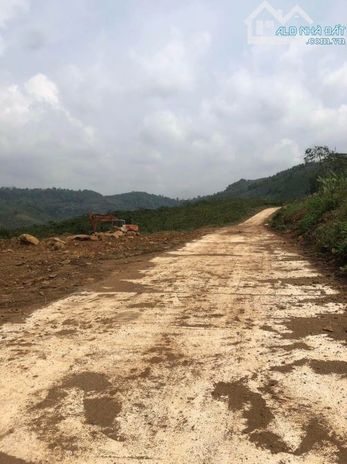 Bán 1,5 hecta sầu riêng ngay gần Thác Đam Bri Thành phố Bảo Lộc - 4
