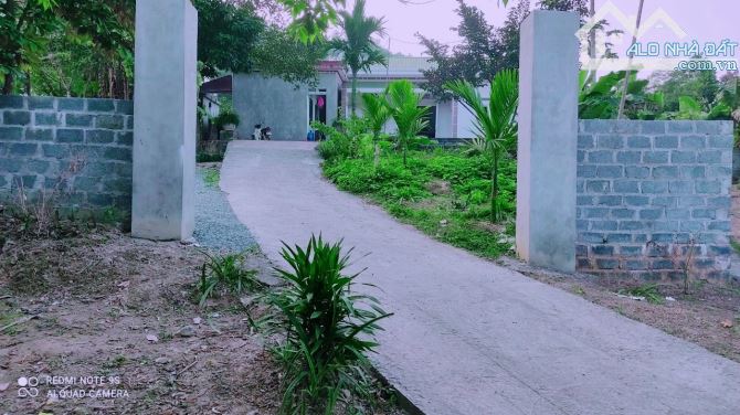 BÁN GẤP LÔ ĐẤT CÓ DT 4000m2 ( 350m2 ONT) VIEW NHÌN TOÀN BỘ RA SÂN GOLF PHƯỢNG HOÀNG - 8