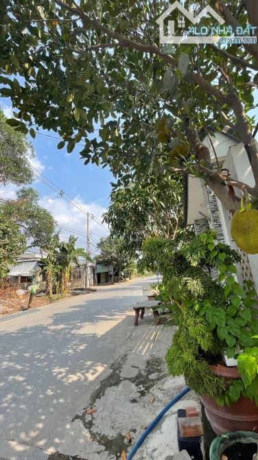 🏠 Bán Nhà 1 Lầu Kp 3, P. Trảng Dài Gần Ngã Tư Chợ Quang Thắng Giá 1,250 Tỷ - 2