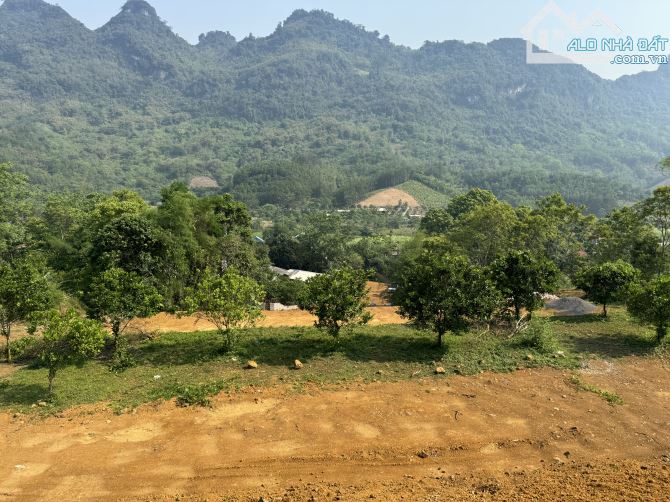 🌺 8725m View Đẹp - Cách Đường Quốc Lộ 50m Làm Nghỉ Dưỡng Quá Đẹp 🌺 - 2