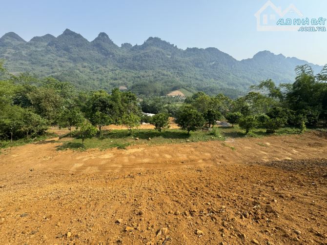 🌺 8725m View Đẹp - Cách Đường Quốc Lộ 50m Làm Nghỉ Dưỡng Quá Đẹp 🌺 - 4