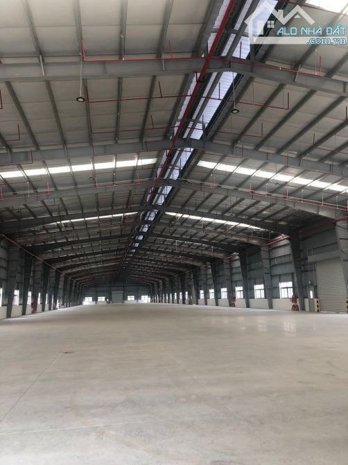 Công ty TNHH Kiều Vũ chuyển nhượng 5000m2 kho tại Đan Phượng - 1