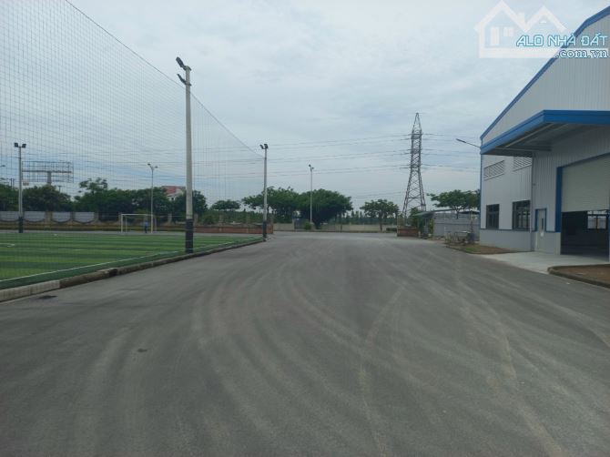 Công ty TNHH Kiều Vũ chuyển nhượng 5000m2 kho tại Đan Phượng - 2