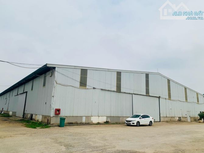 Công ty TNHH Kiều Vũ chuyển nhượng 5000m2 kho tại Đan Phượng - 3