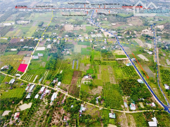 Đất thổ cư đường Bê Tông Đạ Tẻh - Lâm Đồng 258tr - 3
