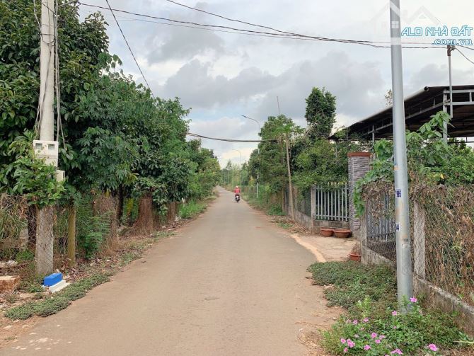 Bán khoảng 1 sào (1020m2) đất Kim Long, huyện Châu Đức, BRVT. - 5