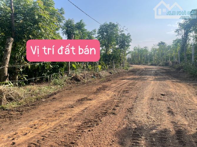 1 sào đất tại Ea Bhok - Cư Kuin QH full hồng 239tr - 5