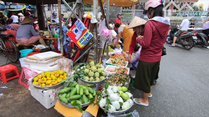 Chuyển nhượng dãy trọ 12 phòng và nhà cấp 4 Trục đường Tỉnh lộ 8, Tân Thạnh Tây, Củ Chi Gi - 6