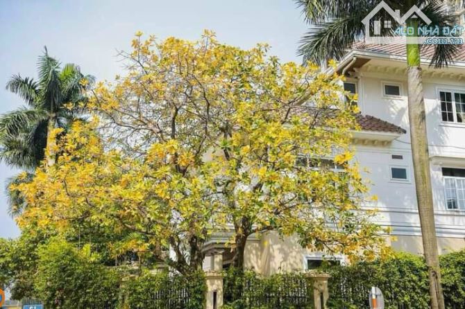 Bán biệt thự khu đô thị Ciputra căn góc diện tích 320m2