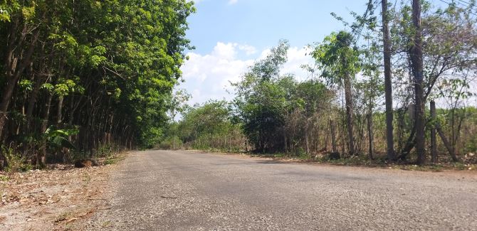 Bán (34,5ha ) đất  Đường ĐH501 Tam Lập, Phú Giáo, Bình Dương - 1