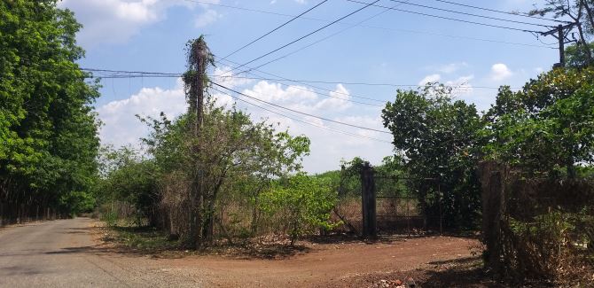 Bán (34,5ha ) đất  Đường ĐH501 Tam Lập, Phú Giáo, Bình Dương - 2